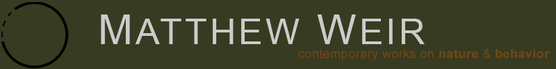 Matthew Weir | Contemporary Works in Nature and Behavior
