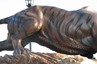 Bronze Tiger Sculpture