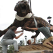 Matt Weir's Bronze Tiger Sculpture